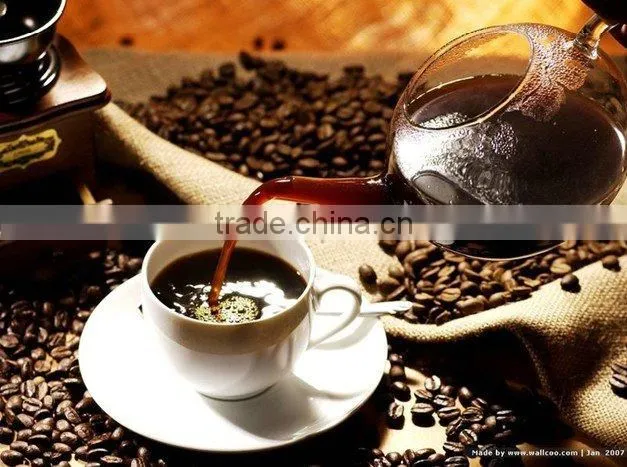 arabica green coffee bean