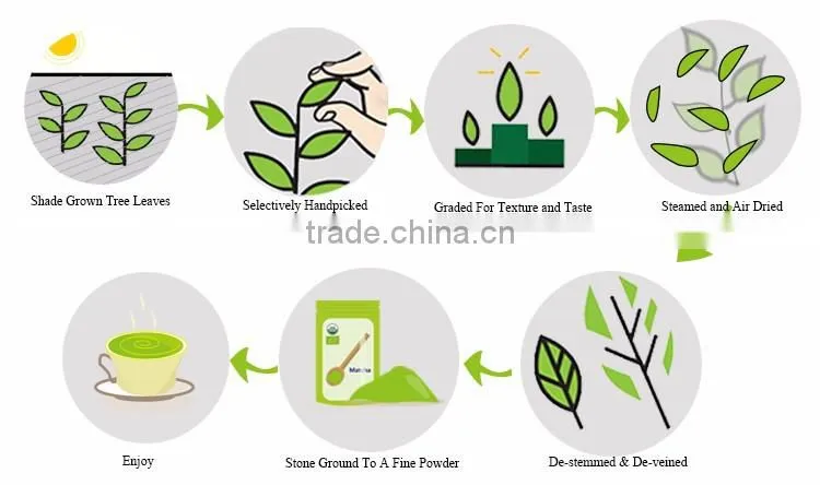 OEM Matcha To Go Small Sachet , Organic Matcha Tea