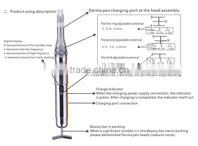5th Generation electric derma pen/ Rechargeable dermapen with 12 needles and nano needles