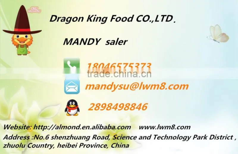 wholesale price roasted apricot kernel