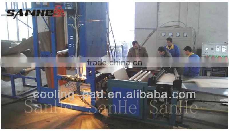 Poultry/Greenhouse/ Plant Evaporative Cooling Pad(Asia Biggest Manufacturing Base))