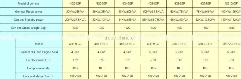 china brand LPG Generator 50HZ