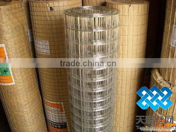 3x3 galvanized weled wire mesh (factory)