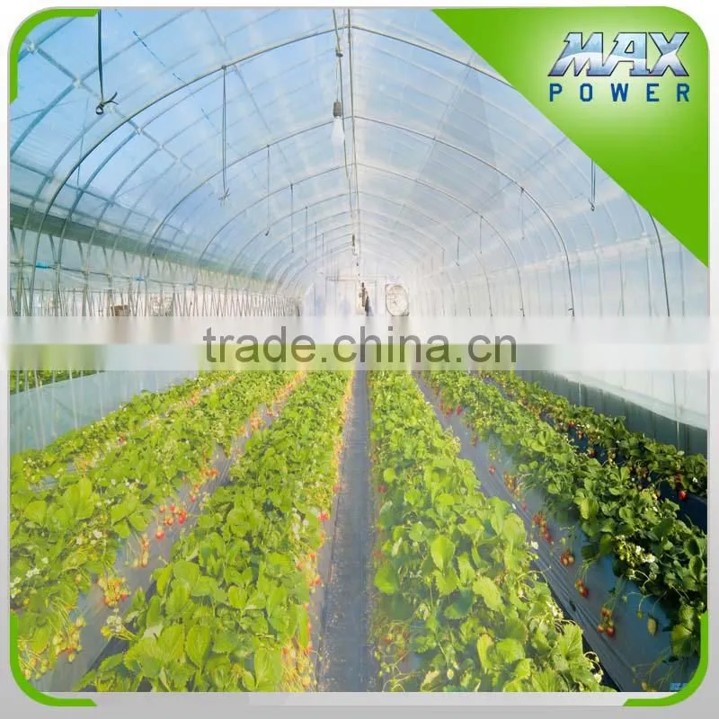 New Arrival Plastic Cover Film For Greenhouse
