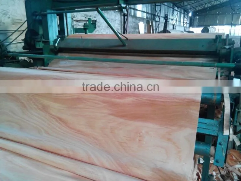 Rotary Cut Grade a b c no hole 0.3mm 4'x8' okoume face Veneer