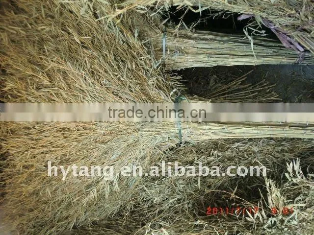 big bamboo broom