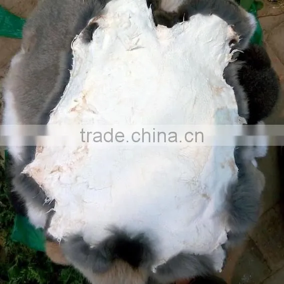 2017 Hot sale Premium quality wholesale rabbit fur skin