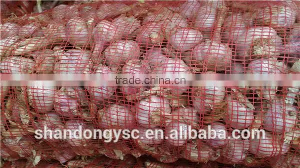 Export fresh garlic from Jinxiang, best quality Chinese garlic