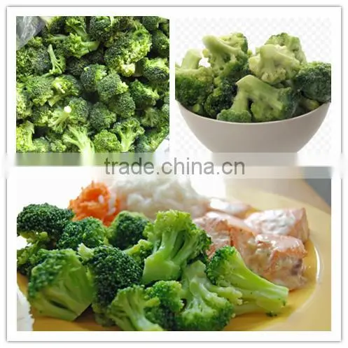 Cleaning fresh green broccoli, frozen broccoli in bulk