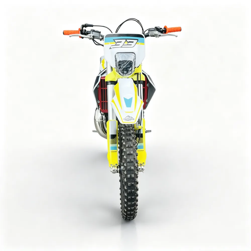 wang-dirt bike (4)