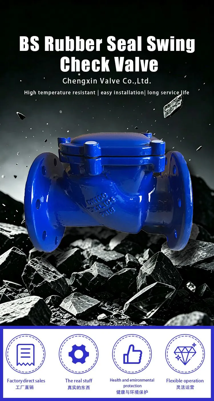 BS Swing Check Valve 1-1.jpg