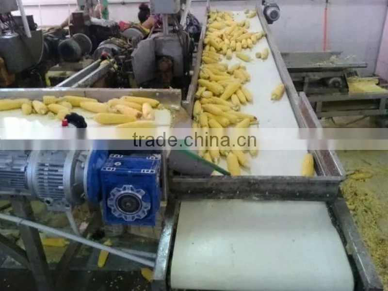 Stainless Steel Fruit Belt Conveyor Price