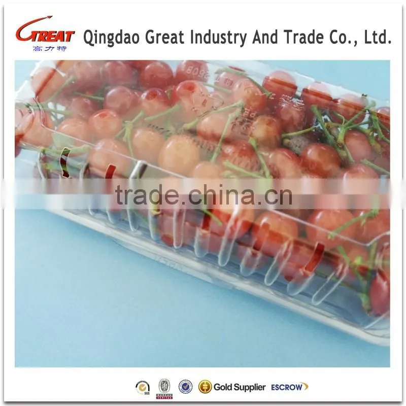 Disposable Rectangle Plastic Clear Fruit Containers with Lids