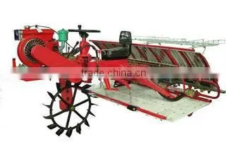 Weifang Dingchen International Trade Co., Ltd. company overview - view 3