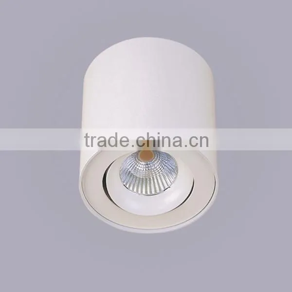 modern white adjustable surface mounted ceiling light