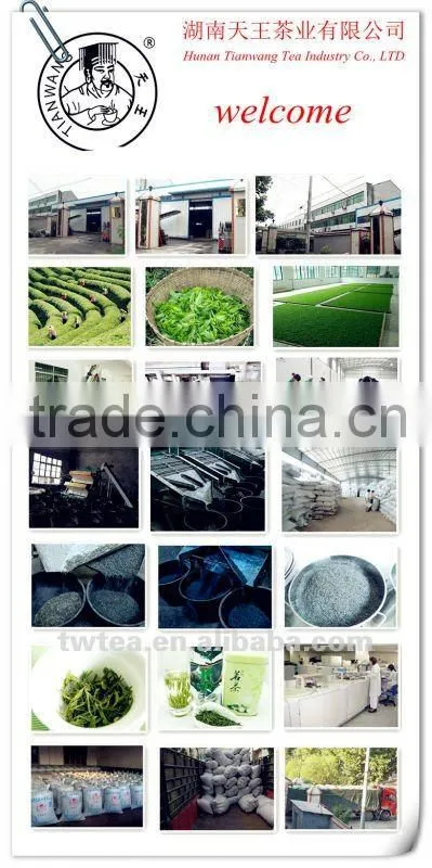 where can i find matcha green tea powder