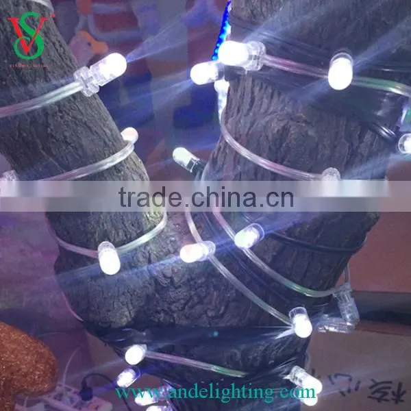 DC12V salely use outdoor christmas decoration led string light