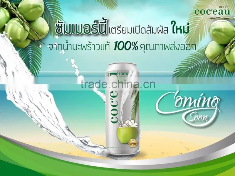 Thailad Coconut juice/Coconut drink/Coconut water 310 ml