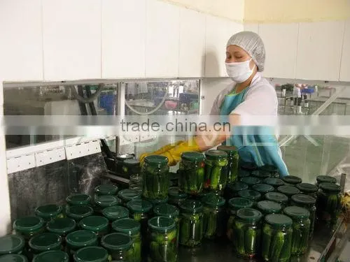 Best selling fresh pickled cucumbers/gherkins from Vietnam by HAGIMEX (various sizes)