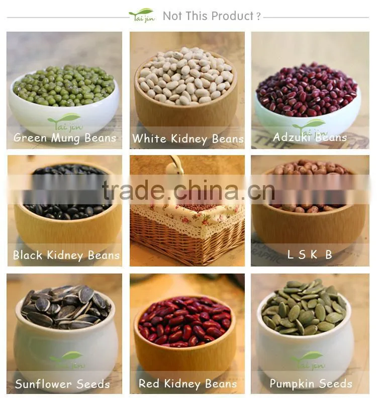 Organic pumpkin seeds kernel GWS