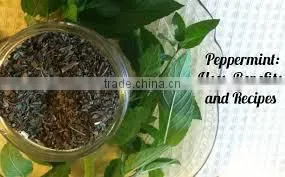 Peppermint Oil