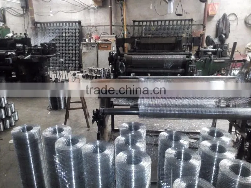 electro-galvanized 1/2 inch mesh welded wire mesh for construction