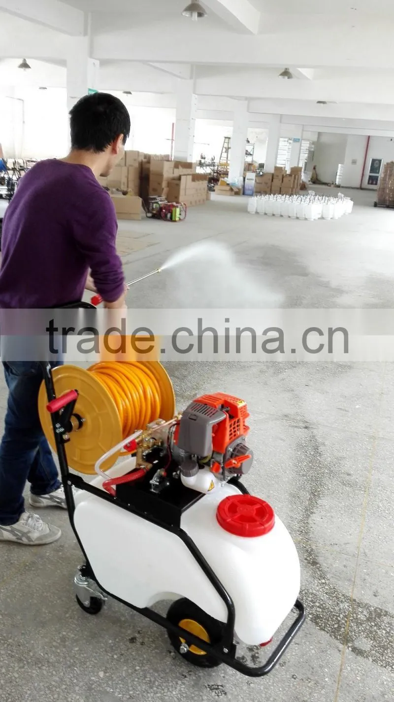 50L Gasoline Engine Powered Garden Sprayer With Long Hose Agricultural Gasoline Sprayer
