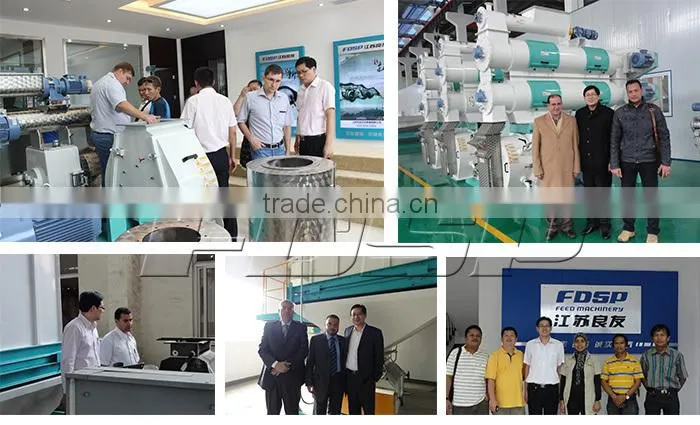4-50tph Hammer crusher machine wide fine crushing equipment for grains