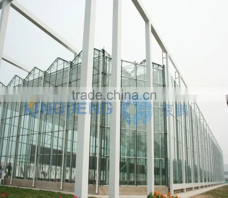 Venlo Roof Agricultural Glass Greenhouse