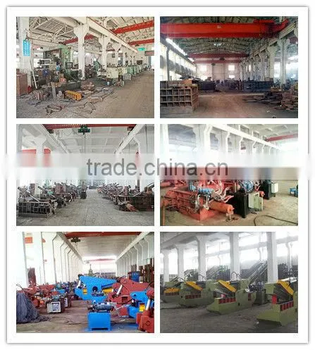 Crocodile Type Hydraulic Metal Shear (Q43-160)