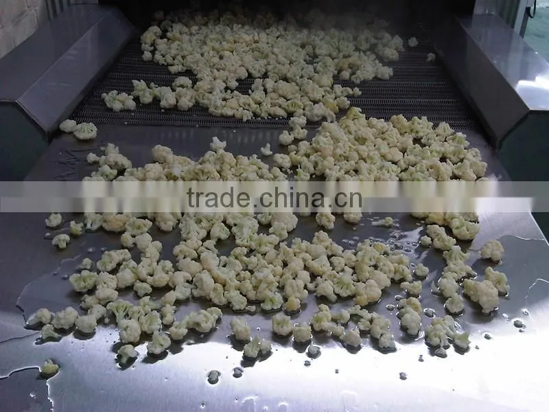 Potato Stcks Cubes Dices Tunnel Freezer
