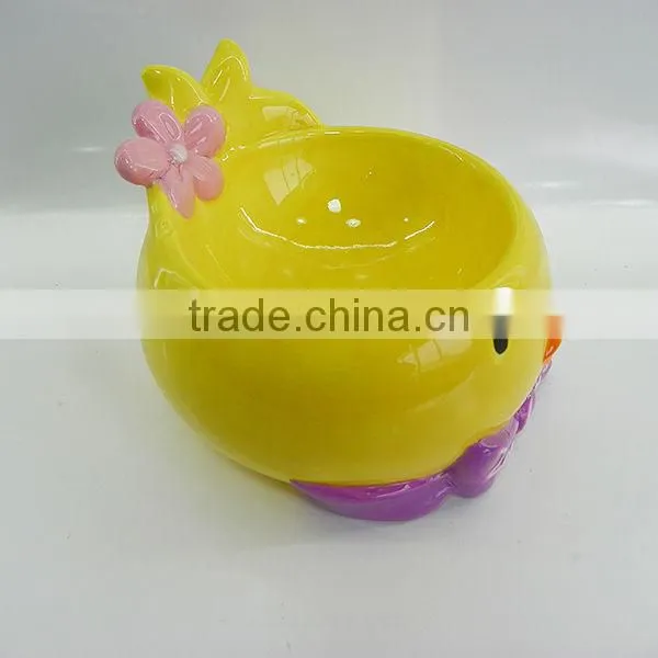 Colored Ceramic Bowl for animal