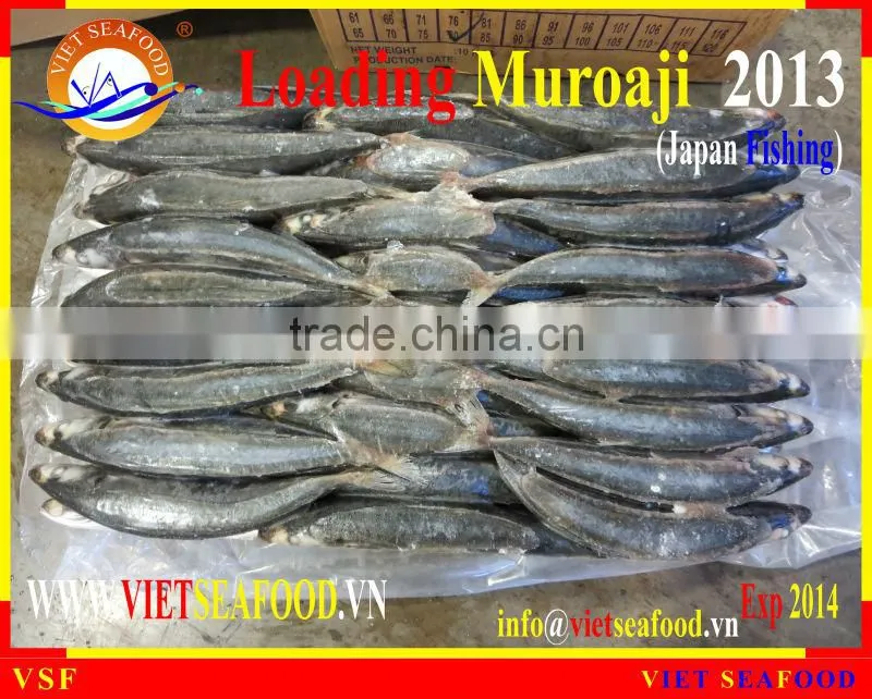 LOADING MUROAJI FOR TUNA BAIT