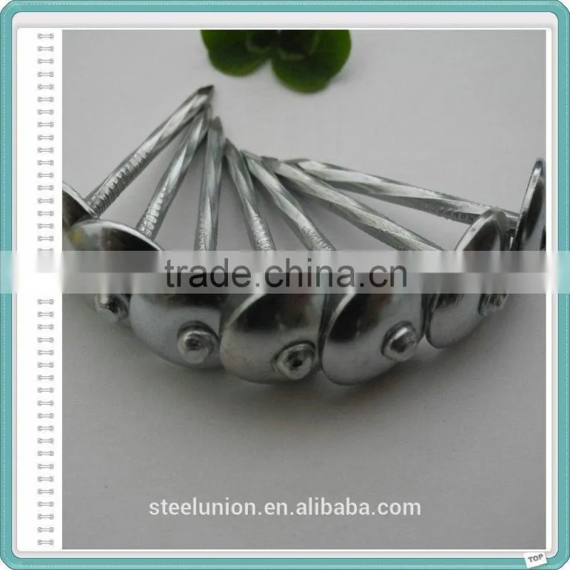 Twist Shank Galvanized Roofing Nails with Plastic Washer/Umbrella Head Nail