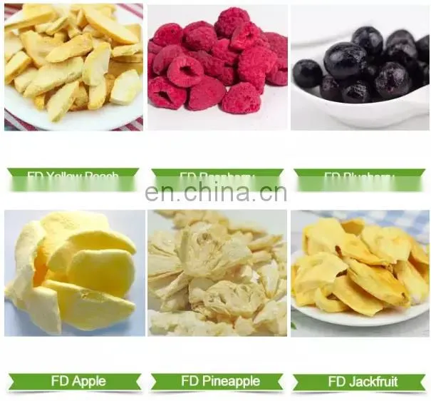 fruit chips Vacuum Freeze Drying Machine