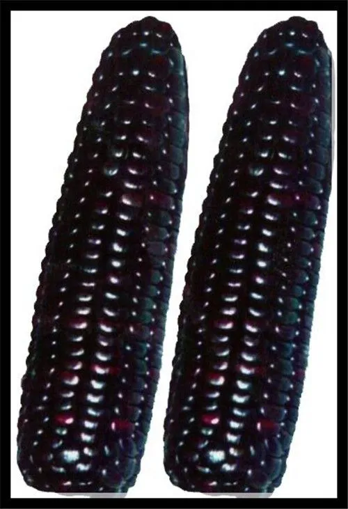 Automatic Canned Sweet Corn Industry Process/produce Line