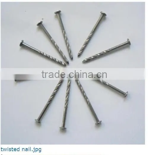 galvanized twisted shank nails factory