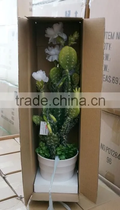 Summer Hanging Tropical Flower Plant