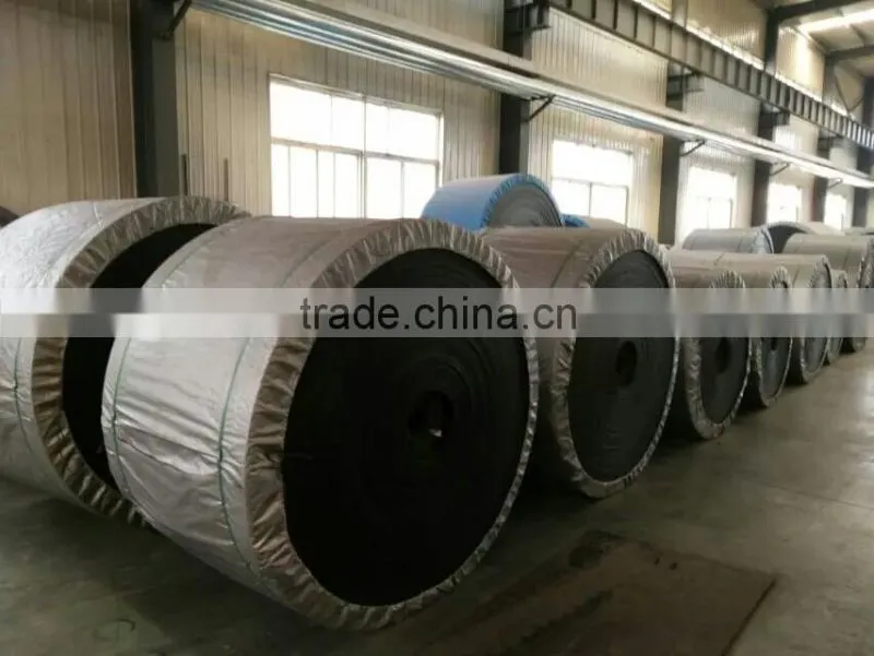 Large Capacity Vibrating Screen Plant for Sand Rubber Conveyor Belt