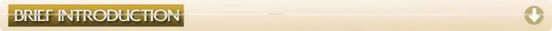 50M LED Flex Neon White Neon Flex 110V/240V