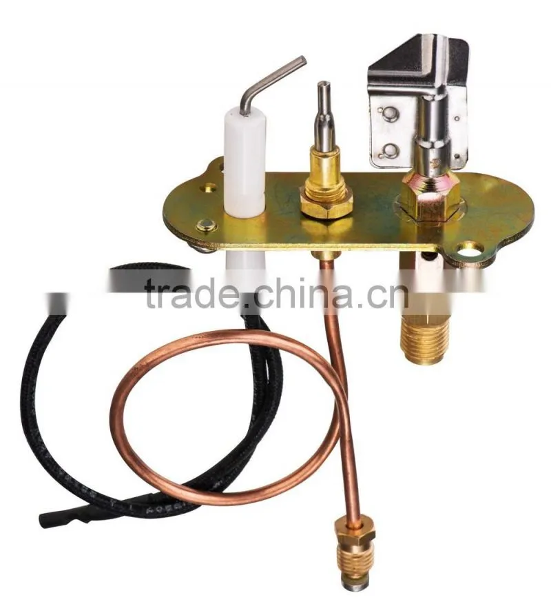 flame sensor Burner Spare Parts