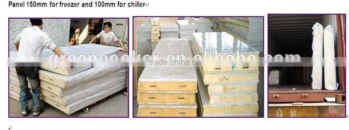 fish and shrimp frozen cold room