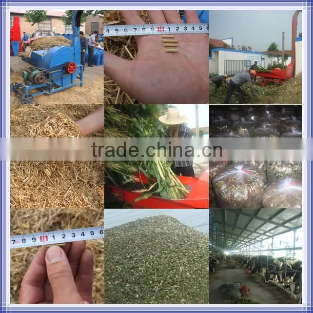 Professional Supplier New Designed Multifunctional Feed Mill Equipment