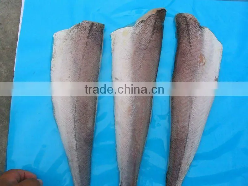 Frozen hake fillet