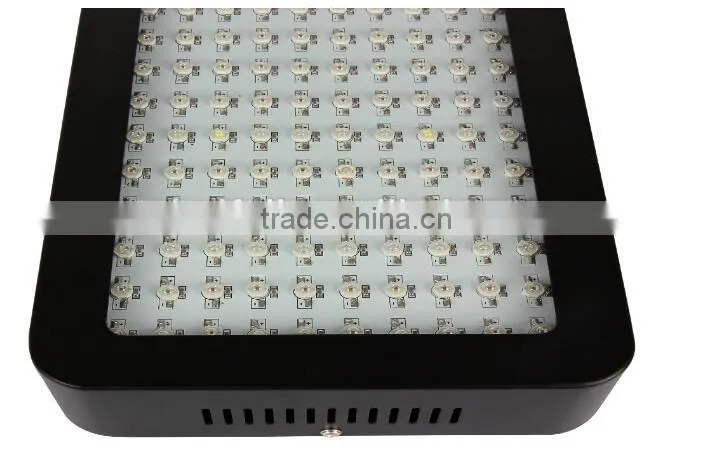 Ebay Hot Greenhouse 900W Led Grow Full Spectrum Light