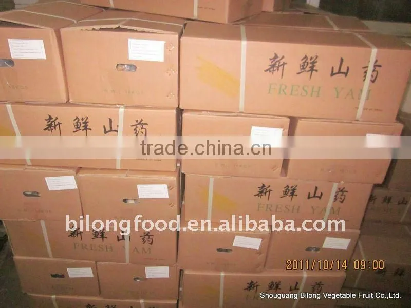 wholesale New Crop fresh chinese yam