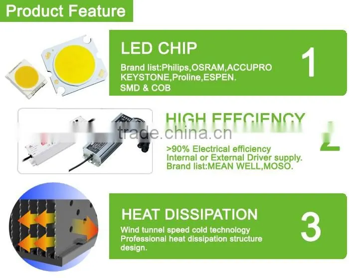 WK-FL100W-3 100W LED Flood Light