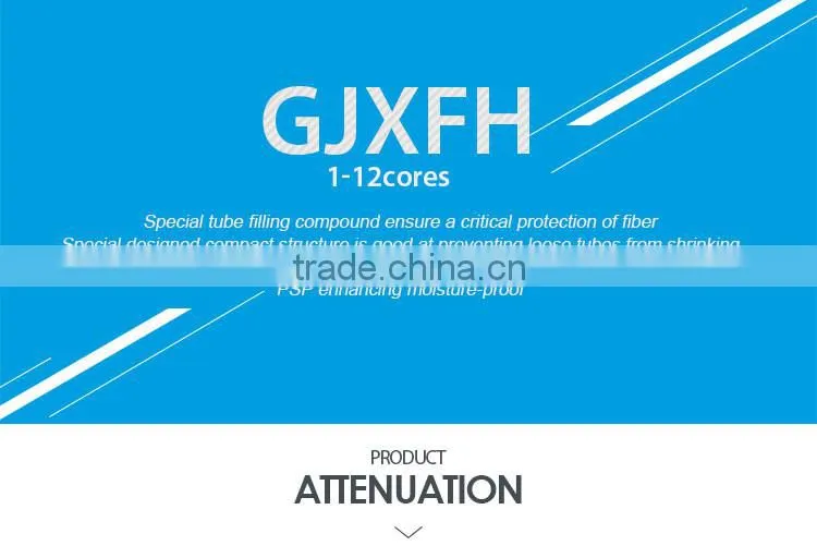 12 core cable FTTH for network cabling