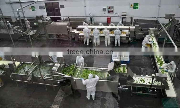 Hoang Kim Viet Nam Import- Export Company Limited company overview - view 2