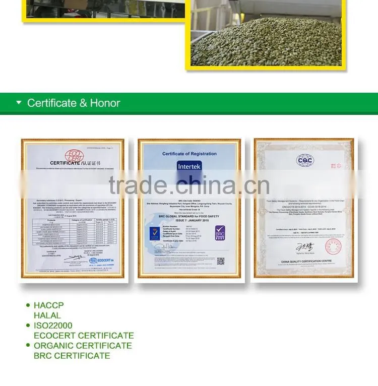 wholesale edible white pumpkin seed price